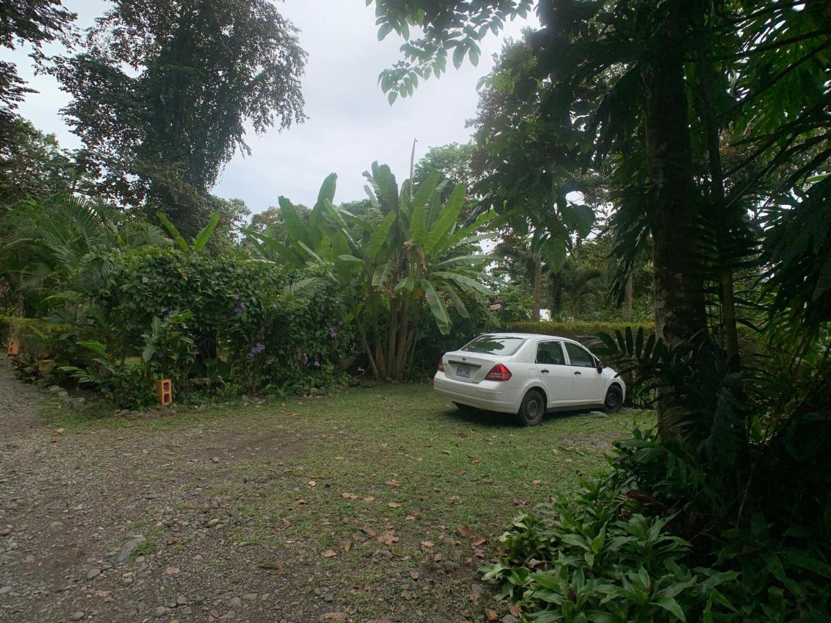 Luna Caribena Village Puerto Viejo de Talamanca Buitenkant foto