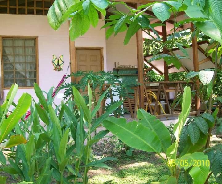 Luna Caribena Village Puerto Viejo de Talamanca Buitenkant foto