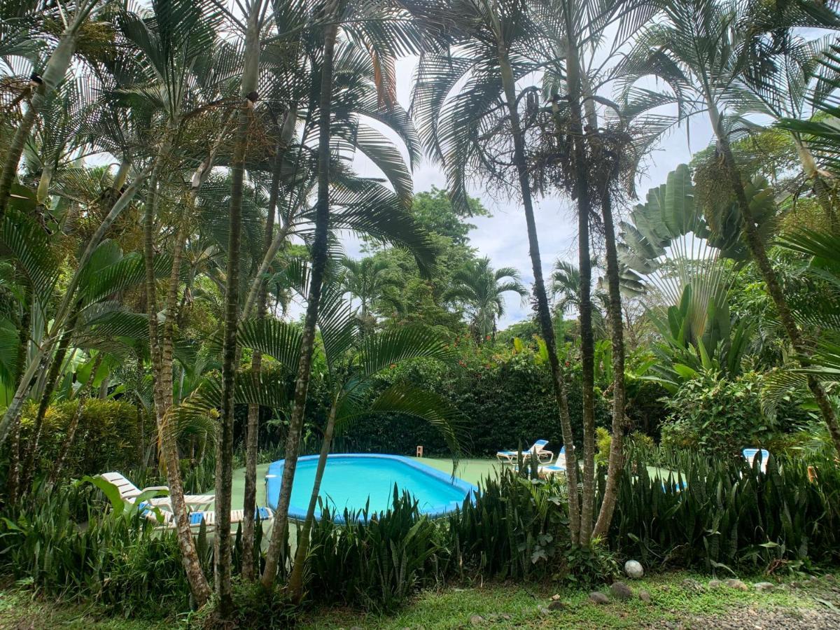 Luna Caribena Village Puerto Viejo de Talamanca Buitenkant foto