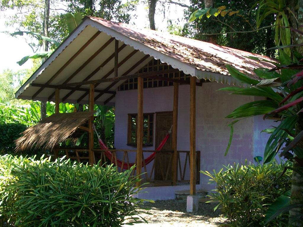 Luna Caribena Village Puerto Viejo de Talamanca Buitenkant foto