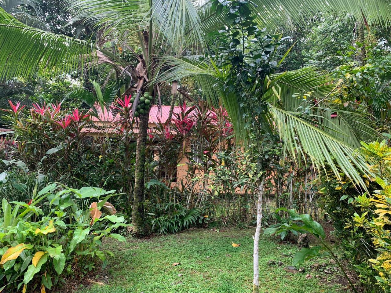 Luna Caribena Village Puerto Viejo de Talamanca Buitenkant foto