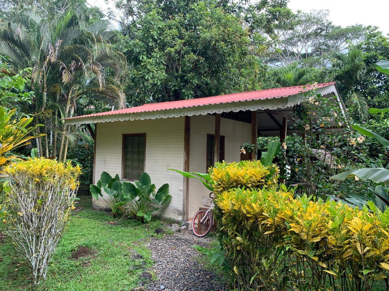Luna Caribena Village Puerto Viejo de Talamanca Buitenkant foto