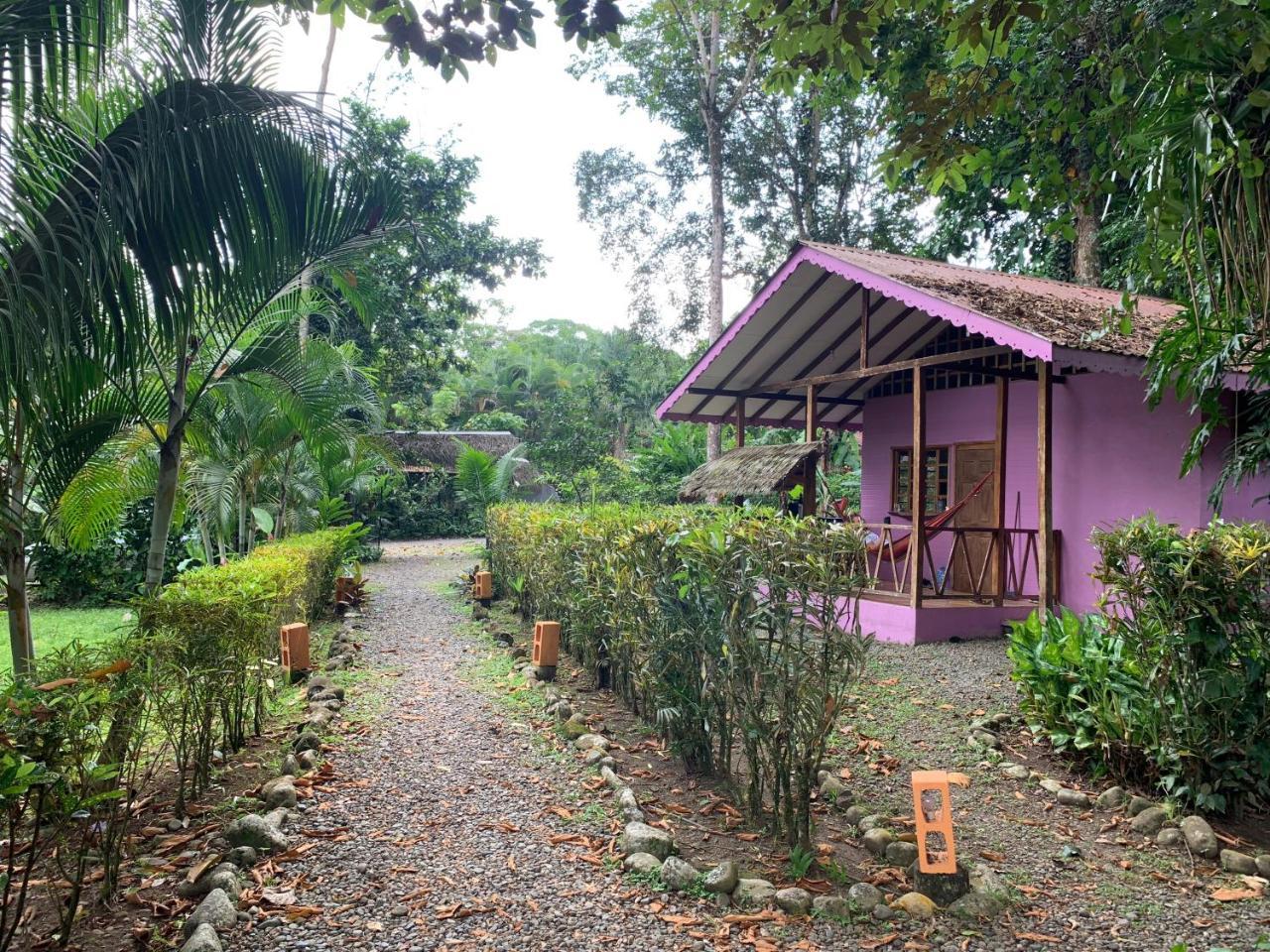 Luna Caribena Village Puerto Viejo de Talamanca Buitenkant foto