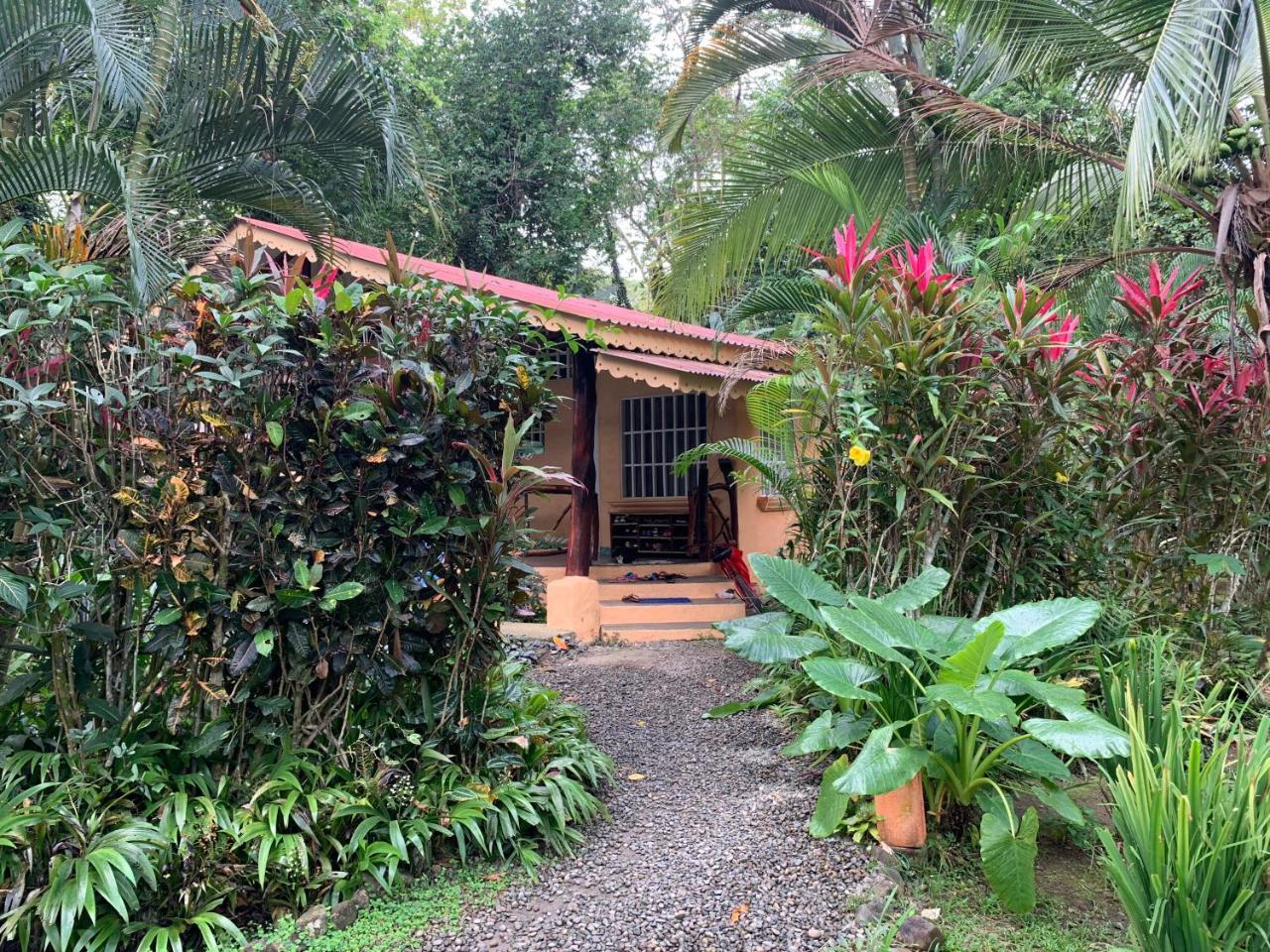 Luna Caribena Village Puerto Viejo de Talamanca Buitenkant foto