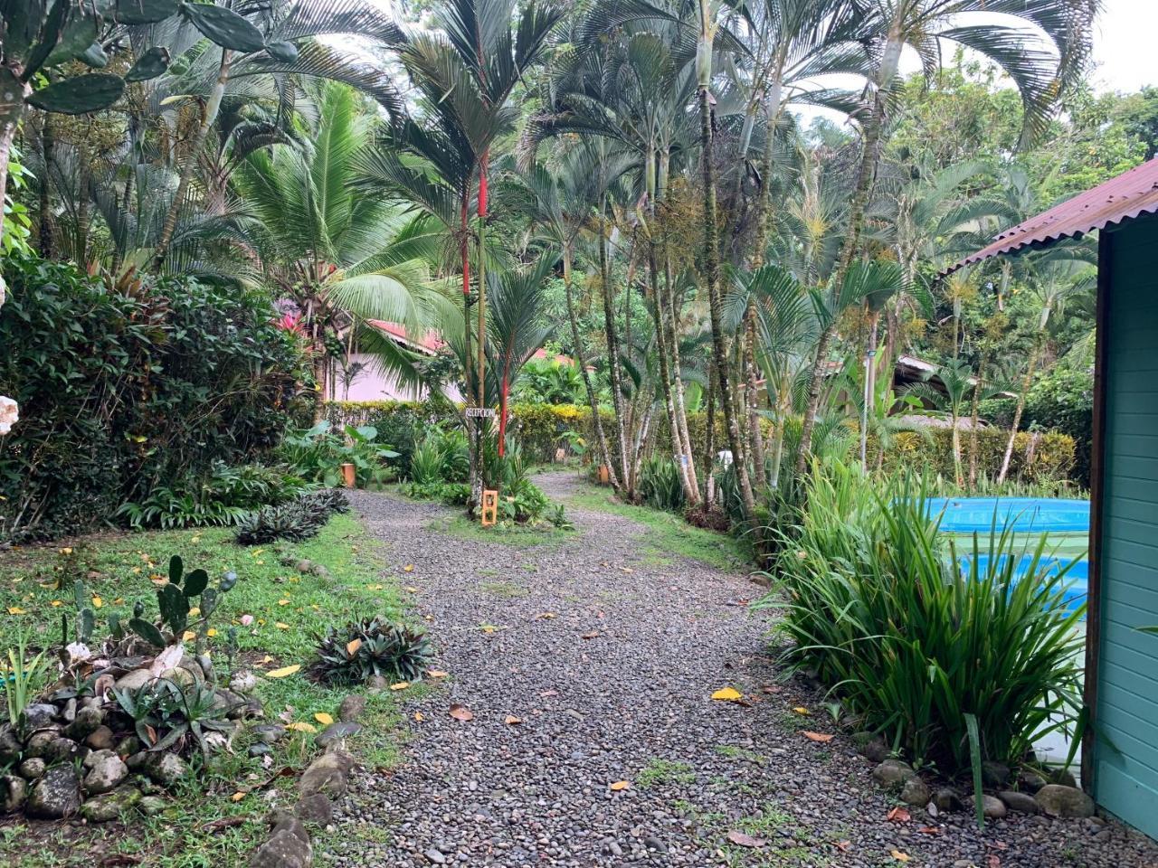 Luna Caribena Village Puerto Viejo de Talamanca Buitenkant foto