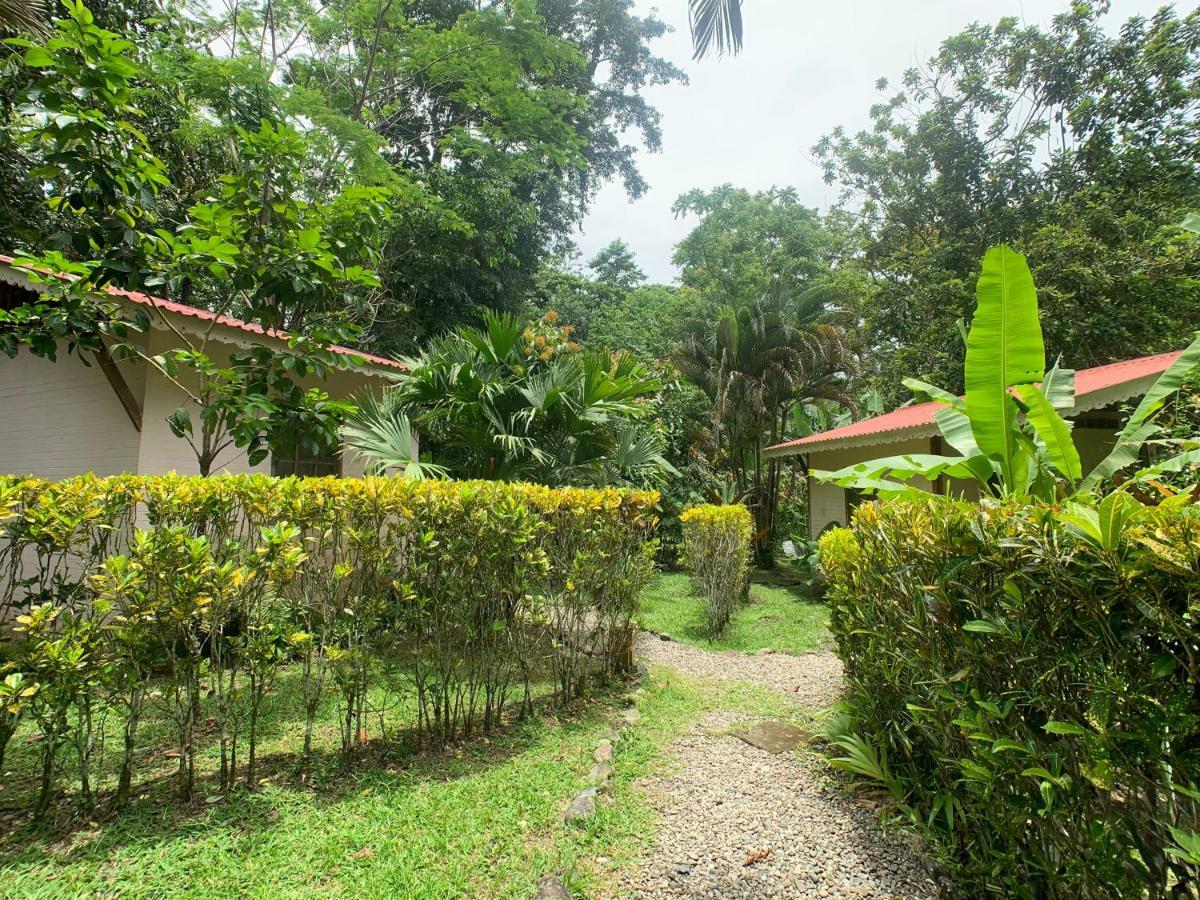 Luna Caribena Village Puerto Viejo de Talamanca Buitenkant foto